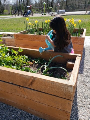picture girl watering school garden